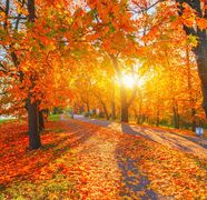 Meteorologii ANM au emis prognoza meteo pentru perioada 8 septembrie – 10 octombrie 2025: Urmează o perioadă cu temperaturi peste limita normalului pentru aceatsă perioadă